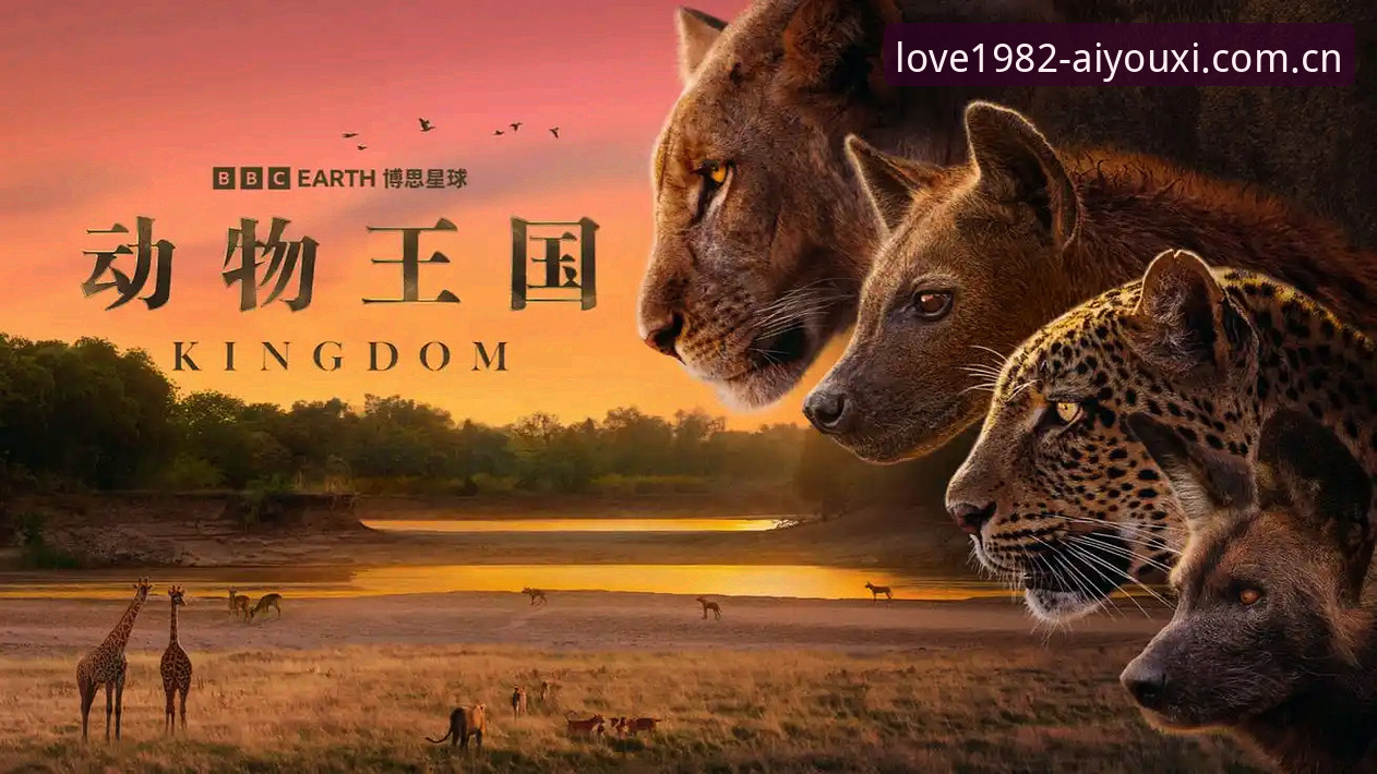 爱游戏1982版官网入口怎么样 爱游戏平台看索斯盖特纪录片操作教程:从新闻热点到深层解读